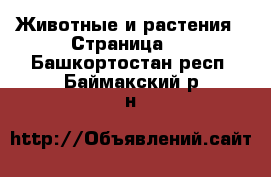  Животные и растения - Страница 5 . Башкортостан респ.,Баймакский р-н